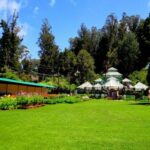 Lakeside Love: Nainital to Ooty Honeymoon Adventure