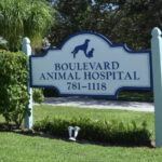 Boulevard Animal Hospital