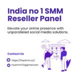 India’s No 1 SMM Panel