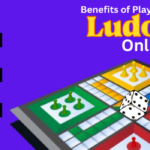 The Pros of Playing Ludo Game Online