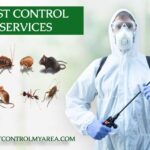 Pest Control Company In My Area