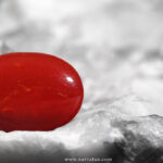 4 Red Coral Side Effects That Can Have a Negative Impact