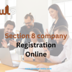 Section 8 Company Registration Online Process In India