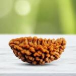 What is 1 mukhi rudraksha?