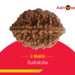 The Dual Essence: Unveiling the Significance of 2 Mukhi Rudraksha