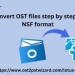 Unleashing the Power of the Top OST to NSF Conversion Tool