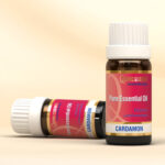 Find the Aromatic Delight: Cardamom Essential Oil