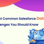 5 Most Common Salesforce Data Loss Challenges You Should Know