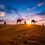 Rajasthan india’s best of desert tour