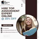 Hire The Best Assignment Experts Online