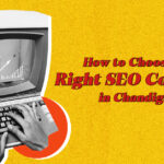 SEO Expert In Chandigarh