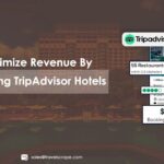 How to Maximize Revenue By Web Scraping TripAdvisor Hotels Data?