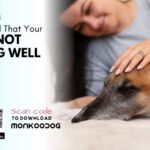 Finding Quality Care: Your Guide to Dog Veterinary Near Me