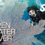 Enroll in SSI Open Water Diver Course in Andaman | Seahawks Scuba