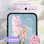 The Best Plant Identification and Plant Care App- Plantora