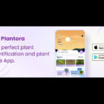 Have You Ever Listen About The Best Plant Care And Free Plant Identifier App?