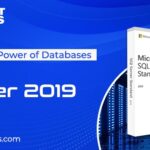 Unlock the Power of Databases: SQL Server 2019 Standard