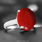 Red coral’s allure: revealing its worth and beauty