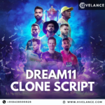 Create Your Winning Fantasy World with Dream11 Clone Script