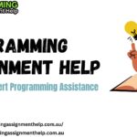 Programming Assignment Help Service : Path to academic success