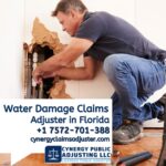 Water Damage Adjuster in Florida