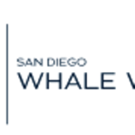 Navigating the Wonders of the Pacific: Exploring Boat Rides Whale Watching California!