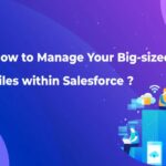 How To Manage Your Big-Sized Files Within Salesforce