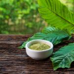 Exploring the Kratom Experience: A Comprehensive Guide to Kratom Effects