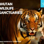 Top Wildlife Sanctuaries in Bhutan for Lovers of the Outdoors