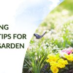 Spring Gardening Tips For A Healthy Garden