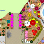 Cultivating Success: Strategies for Vegetable Garden Management Programs