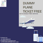 dummy plane ticket free