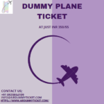 dummy plane ticket