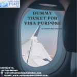 dummy ticket for visa purpose