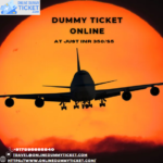 Dummy ticket online