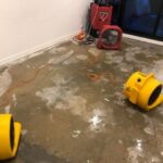 Restoring Peace: Flood Restoration, Water Damage Restoration, and Mould Removal in Melbourne