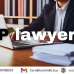 IP Lawyer