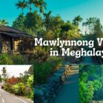 Discover Mawlynnong Village, Meghalaya