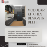 Modular kitchen Design in Delhi