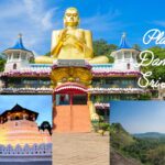 Top 12 Attractions in Dambulla, Sri Lanka