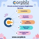 Legal Assistance For Private Limited Company Registration in Delhi