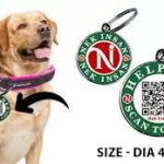 QR Sticker For Pet Safety