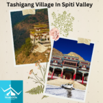 Top 10 Accommodations in Tashigang Village, Spiti Valley