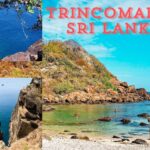 Discover the top 11 activities to experience in Trincomalee