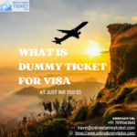 what is dummy ticket for visa