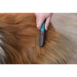 The Ultimate Guide To Wholesale Dog Grooming Supplies: Everything You Need To Know