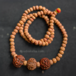 Gauri Shankar Rudraksha Price: What Factors Determine its Value