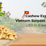 Cashew Exports From Vietnam Surpass 3.31 Billion USD In Eleven Months