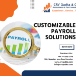 Customizable Payroll Solutions: Tailored to Your Business Needs