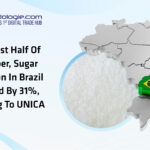 In The First Half Of November, Sugar Production In Brazil Increased By 31%, According To UNICA